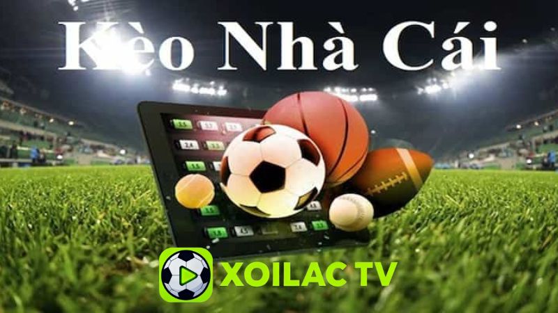 Bí quyết chơi kèo nhà cái hiệu quả và hạn chế rủi ro