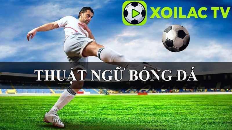 Các thuật ngữ phổ biến trong cá độ bóng đá hiện nay