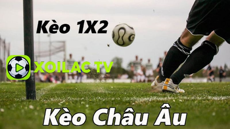 Cách đọc và hiểu tỷ lệ kèo Châu Âu