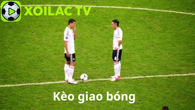 Cách đọc và hiểu tỷ lệ kèo giao bóng