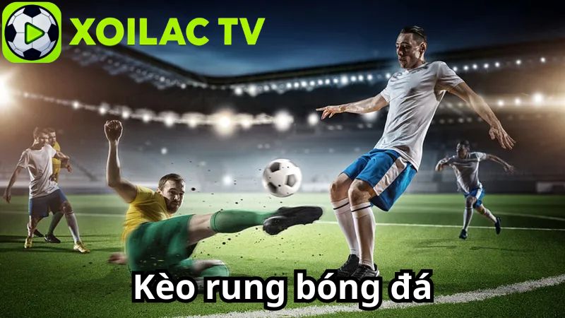 Cách theo dõi và đọc tỷ lệ kèo rung hiệu quả