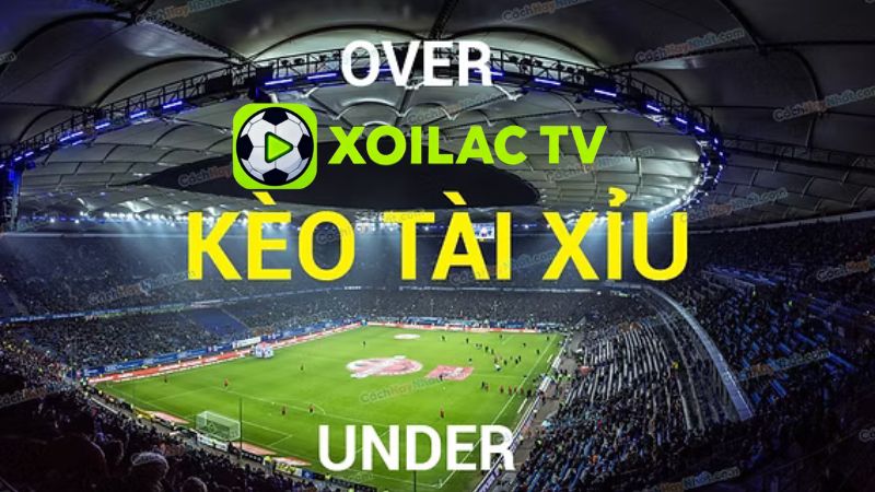 Hướng Dẫn Cách Chơi Kèo Tài Xỉu Hiệu Quả