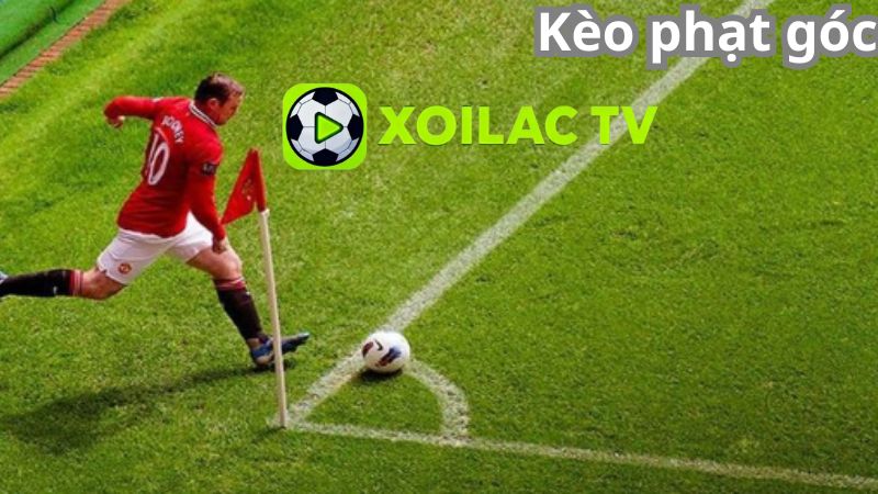 Kinh nghiệm chơi kèo phạt góc từ cao thủ