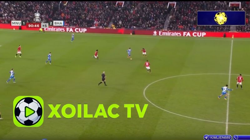 Bình luận viên chuyên nghiệp, dễ nghe