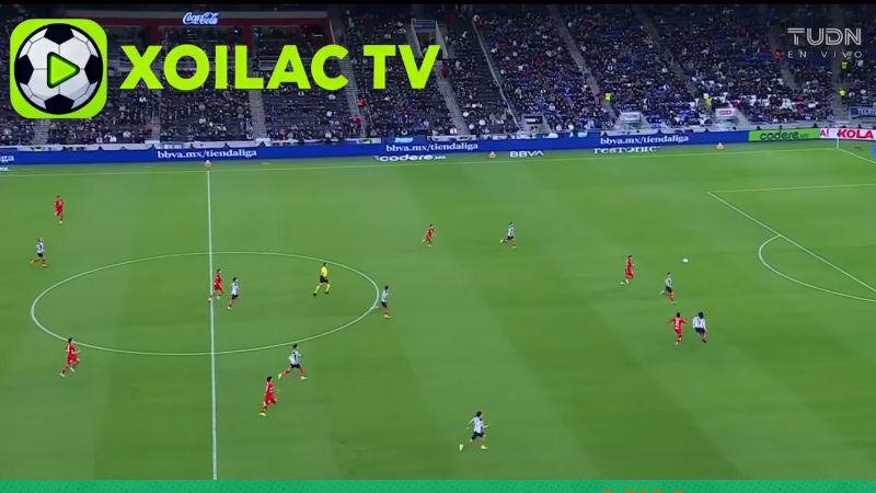 Hình ảnh sắc nét, màu sắc trung thực