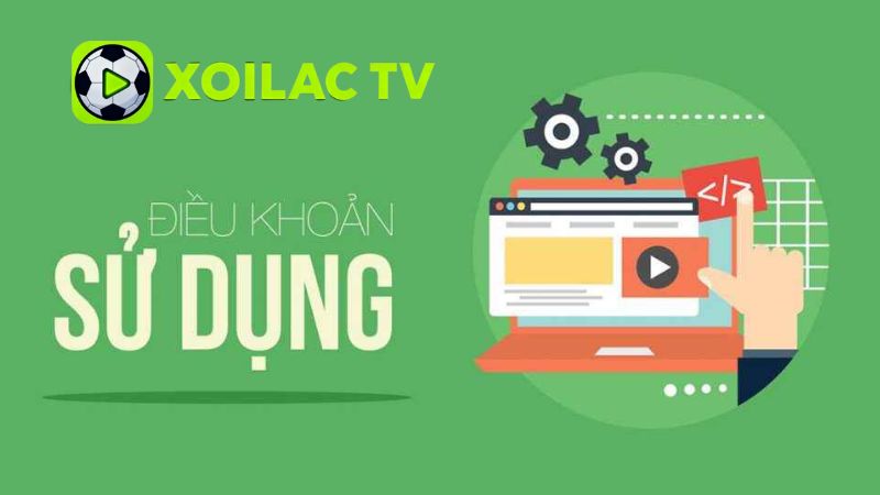 Sử Dụng Thông Tin Dữ Liệu Trên Web