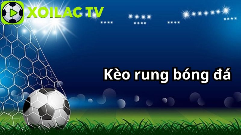 Bí quyết bắt kèo rung chuẩn xác, tăng tỷ lệ thắng