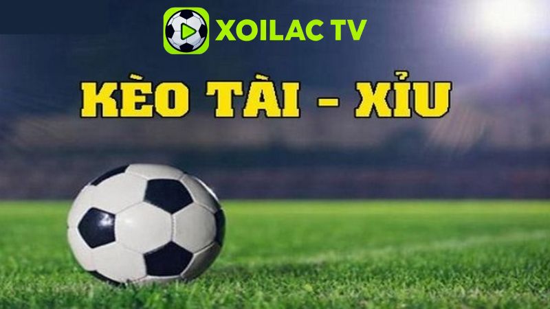 Khái Niệm Cơ Bản Về Kèo Tài Xỉu Bóng Đá