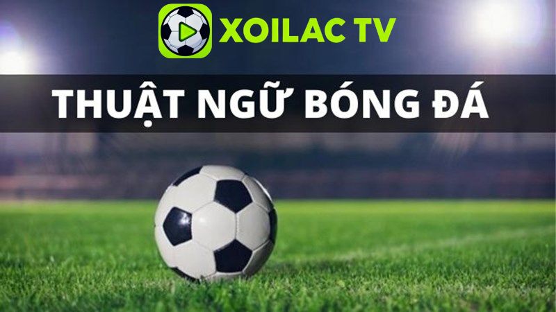 Lợi ích khi am hiểu thuật ngữ bóng đá